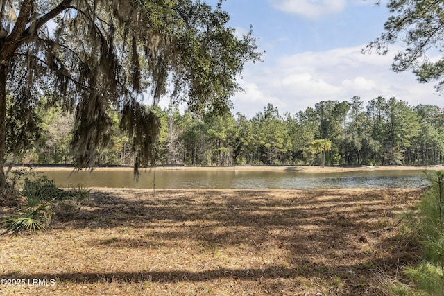 276 Twickenham Loop, Yemassee SC, 29945 land for sale