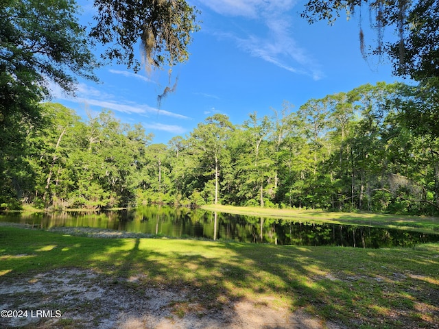 view of yard with a water view