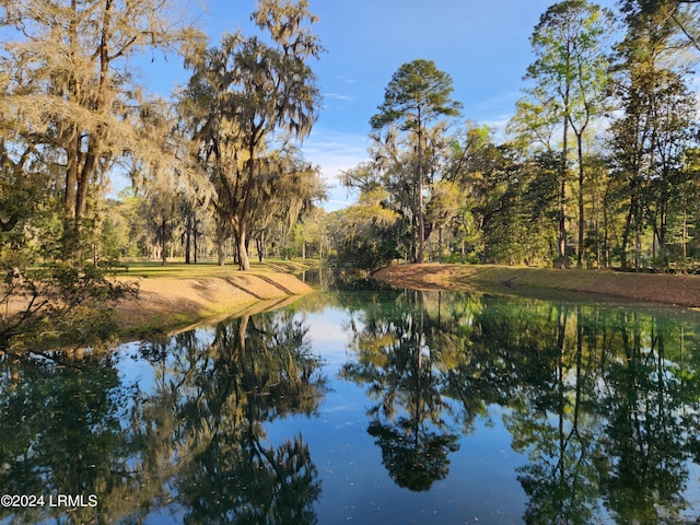 view of water feature