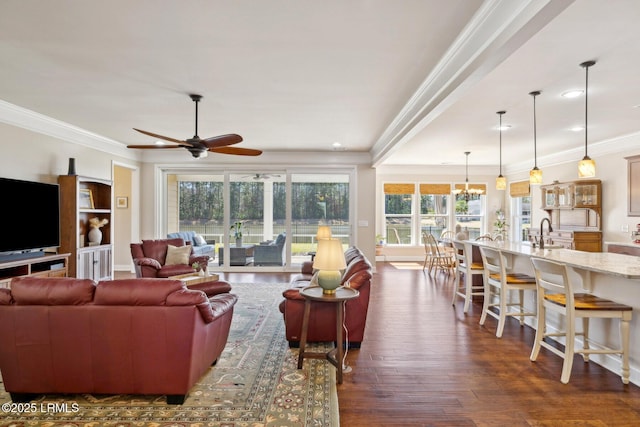 living area featuring dark wood finished floors, crown molding, and ceiling fan with notable chandelier