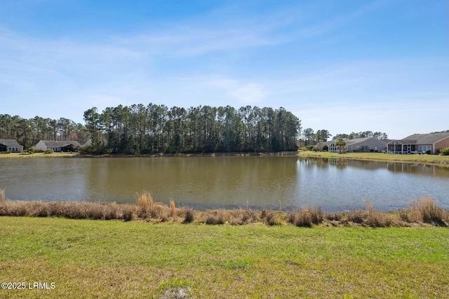 view of water feature