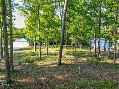 345 Distant Island Dr, Beaufort, SC 29907