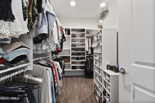 223 Rudder Run, Bluffton, SC 29910 - walk in closet with wood finished floors
