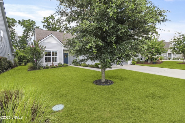 223 Rudder Run, Bluffton, SC 29910 - view of property hidden behind natural elements featuring a front lawn, concrete driveway, and a shingled roof