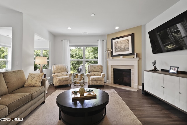 223 Rudder Run, Bluffton, SC 29910 - living room featuring dark wood-style floors, healthy amount of natural light, a glass covered fireplace, and recessed lighting