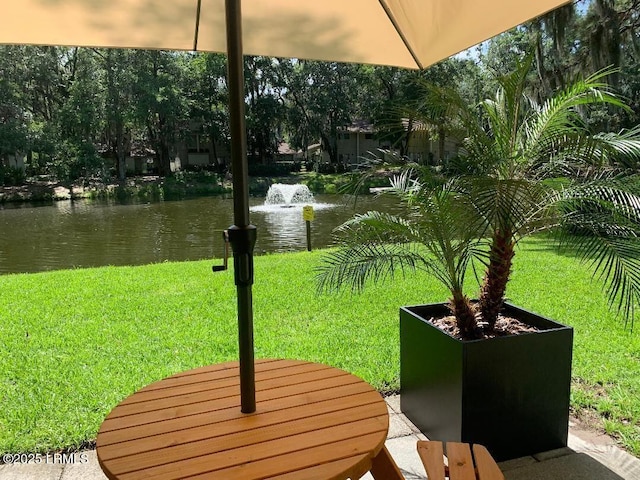 96 Mathews Dr Unit 189, Hilton Head Island, SC 29926 - photo 13