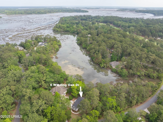 6 Winding Oak Dr, Okatie, SC 29909 - photo 36