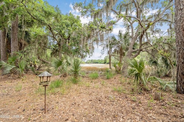 6 Winding Oak Dr, Okatie, SC 29909 - photo 34