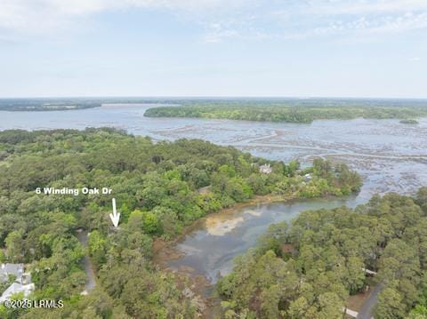6 Winding Oak Dr, Okatie, SC 29909 - photo 38