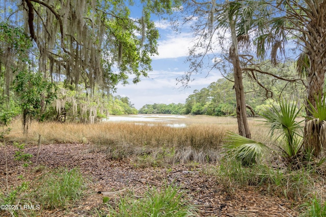 6 Winding Oak Dr, Okatie, SC 29909 - photo 35