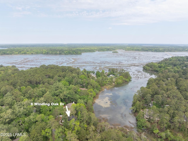 6 Winding Oak Dr, Okatie, SC 29909 - photo 37