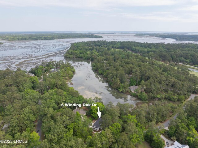 6 Winding Oak Dr, Okatie, SC 29909 - photo 5