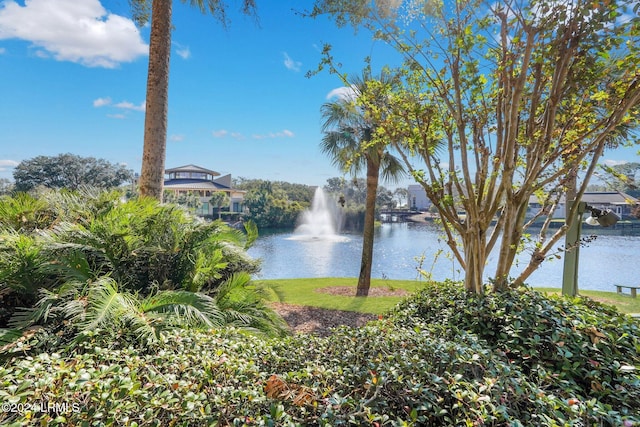 view of water feature