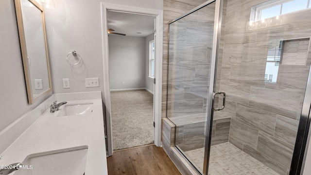 bathroom with wood-type flooring, vanity, and a shower with shower door