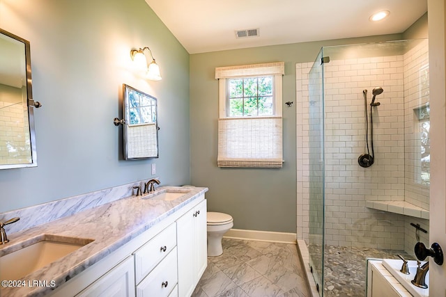 bathroom with vanity, toilet, and walk in shower