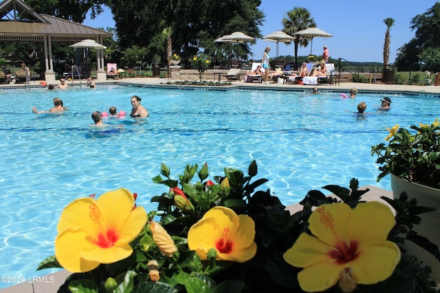 view of pool