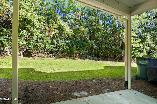 329 S St, Bluffton, SC 29910 - view of yard
