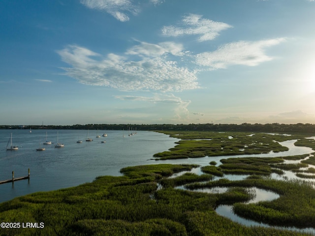 2304 Pine Ct S Unit 1, Beaufort, SC 29902 - water view