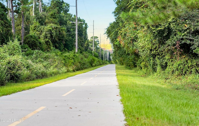 2304 Pine Ct S Unit 1, Beaufort, SC 29902 - view of street