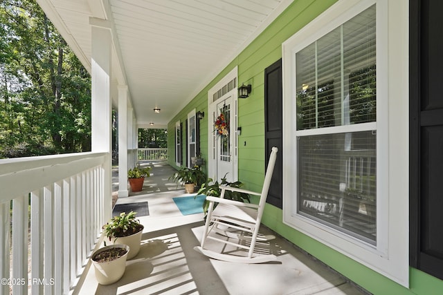 340 Freedom Pkwy, Hardeeville, SC 29909 - photo 6