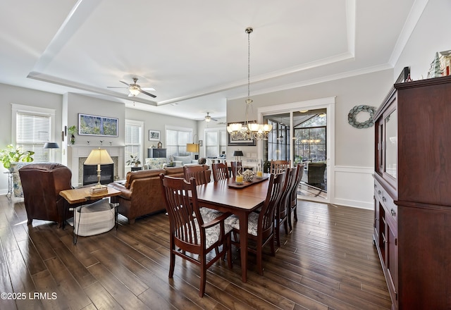 dining space with a raised ceiling, crown molding, dark wood-type flooring, and ceiling fan with notable chandelier