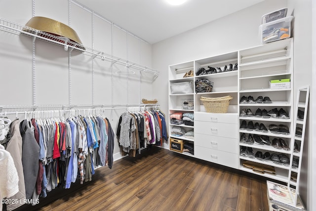 walk in closet with dark wood-type flooring