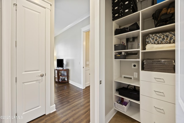 view of closet