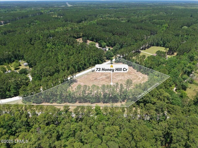 73 Honey Hill Cir, Ridgeland, SC 29936