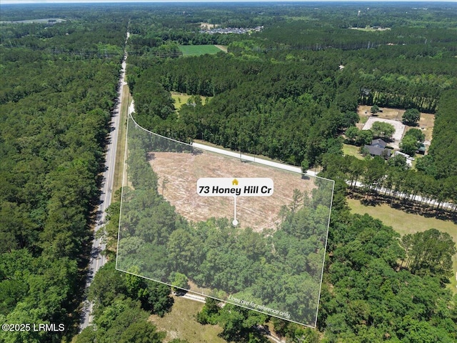 73 Honey Hill Cir, Ridgeland, SC 29936