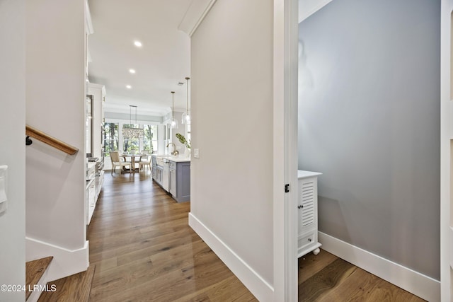 hallway with ornamental molding, sink, and hardwood / wood-style floors