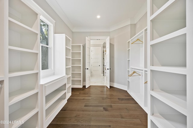 walk in closet with dark hardwood / wood-style floors