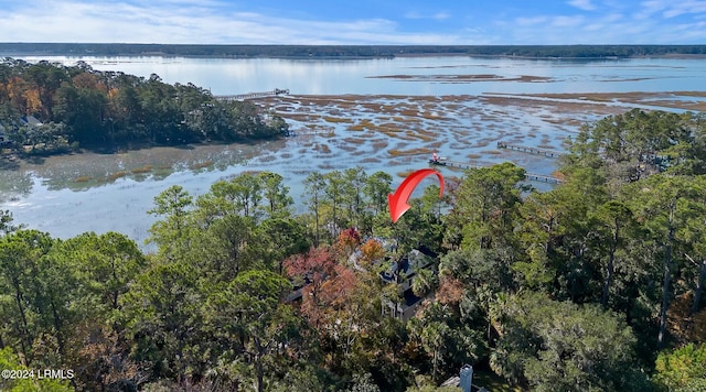 drone / aerial view with a water view