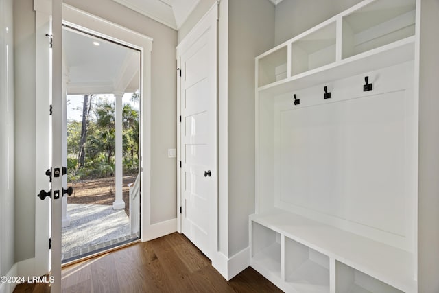 mudroom featuring dark wood-type flooring and crown molding