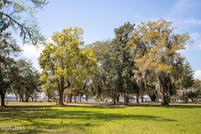 112 Whitehall Dr, Beaufort, SC 29907 - photo 84