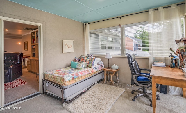 5 Petigru Dr, Beaufort, SC 29902 - carpeted bedroom with an office area and ornamental molding