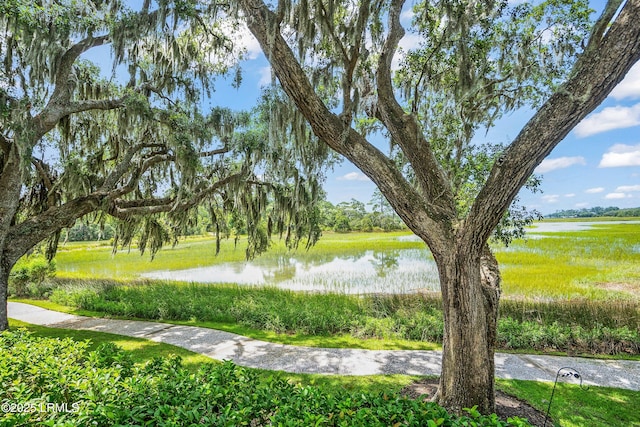 5 Petigru Dr, Beaufort, SC 29902 - view of community with a water view