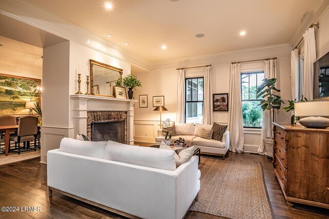 living room featuring a fireplace, ornamental molding, and dark hardwood / wood-style floors