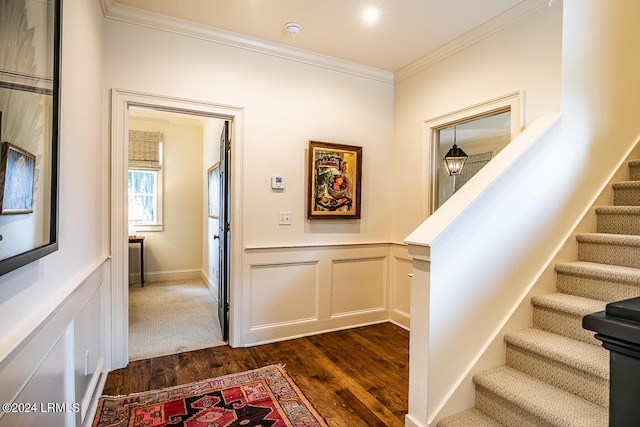 corridor with crown molding and dark wood-type flooring