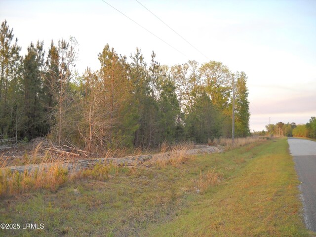 Listing photo 3 for Tbd Stokes Bluff Landing, Garnett SC 29922