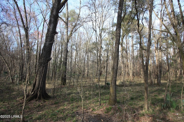 Tbd Stokes Bluff Landing, Garnett, SC 29922