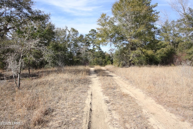 Tbd Stokes Bluff Landing, Garnett, SC 29922
