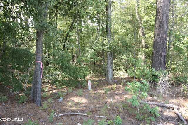 Listing photo 2 for Tbd Stokes Bluff Landing, Garnett SC 29922