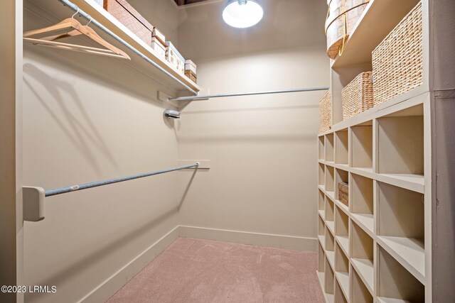 walk in closet with carpet floors