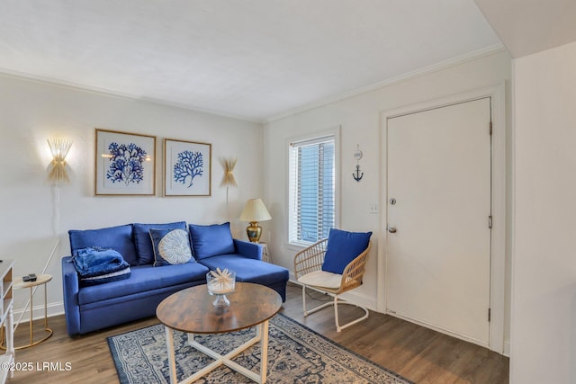 living room with crown molding and wood-type flooring