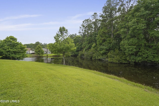 193 Landing Ln, Bluffton, SC 29909 - view of green lawn with a water view