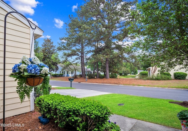 50 Padgett Dr, Bluffton, SC 29909 - view of yard
