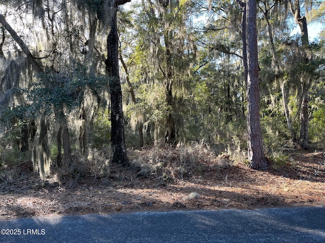 Listing photo 3 for 325 Dulamo Rd, Saint Helena Island SC 29920