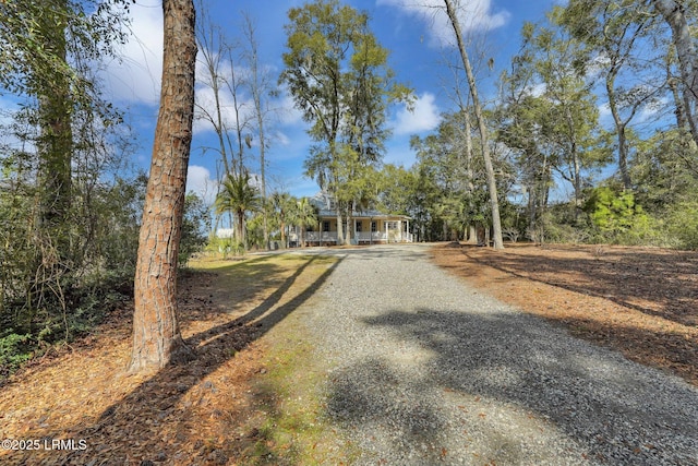 view of front facade with gravel driveway