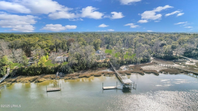 aerial view featuring a water view and a wooded view