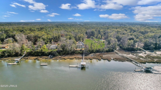 birds eye view of property with a water view and a forest view